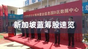 新加坡蓝筹股速览