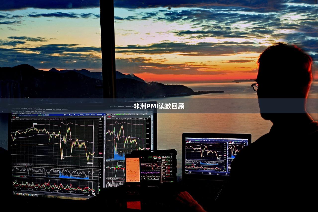 非洲PMI读数回顾