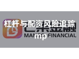 杠杆与配资风险追踪 mp
