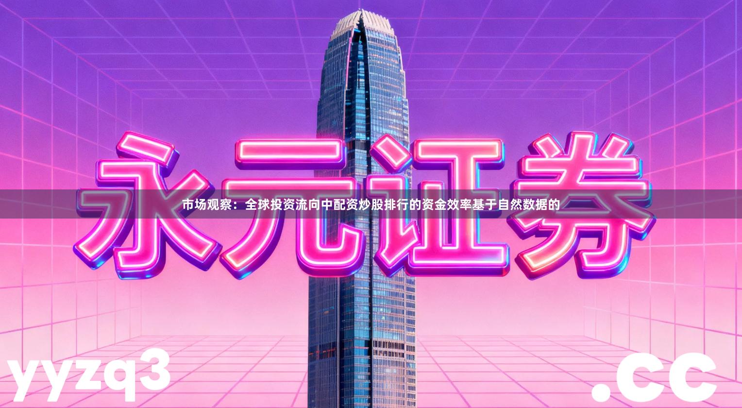 市场观察：全球投资流向中配资炒股排行的资金效率基于自然数据的